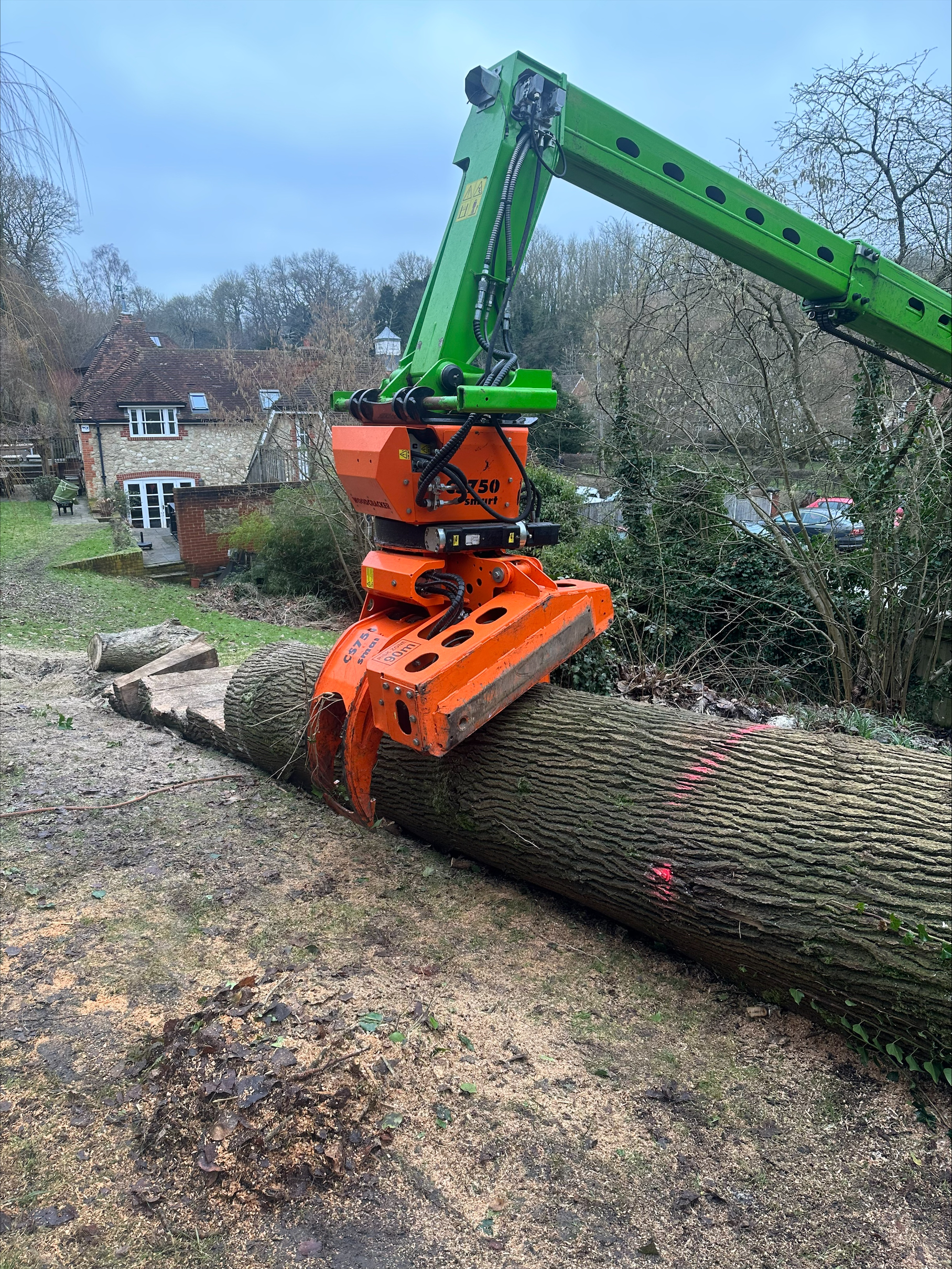 tree surgeons near me, local tree surgeons