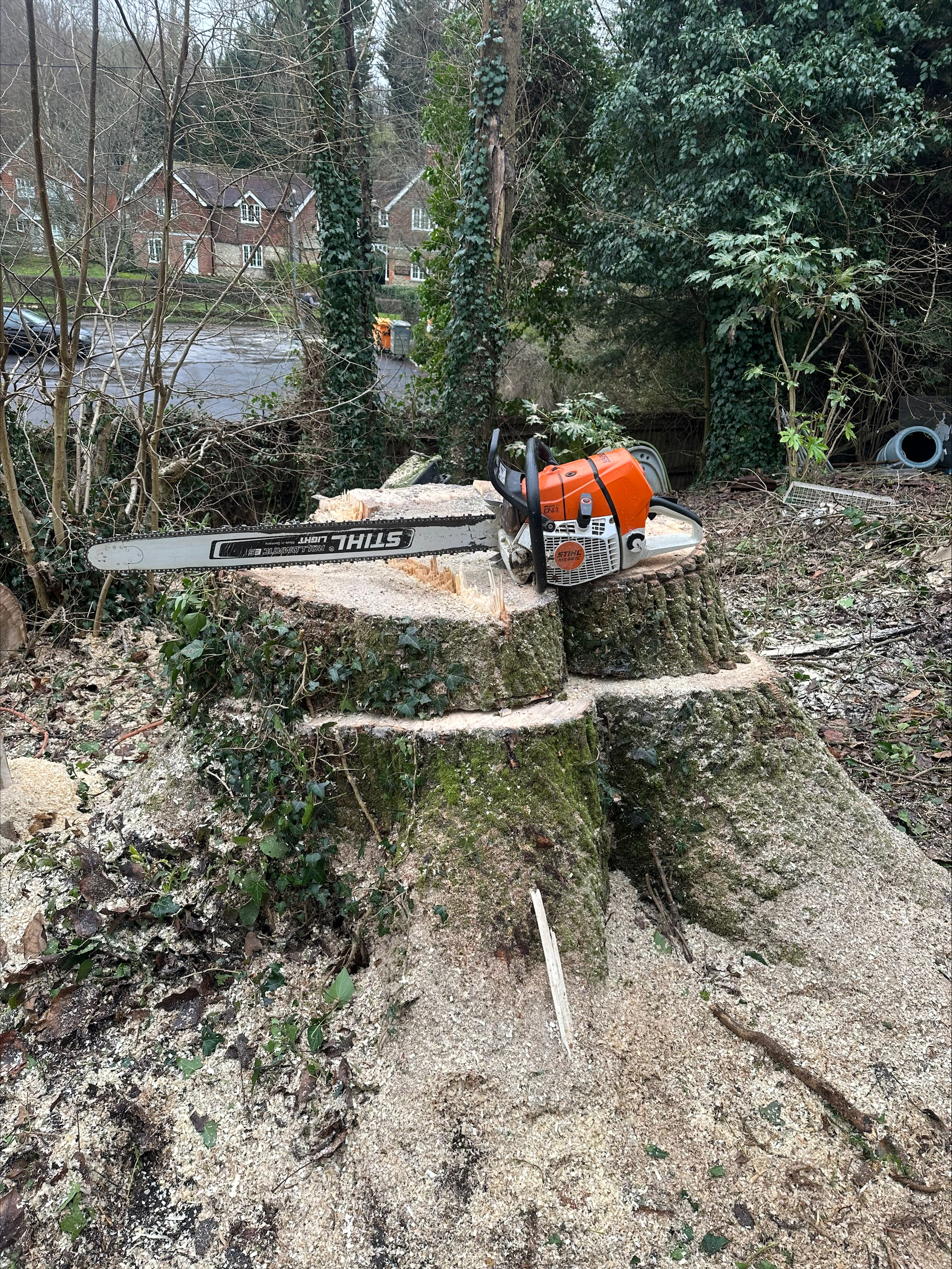 tree surgeons near me, local tree surgeons