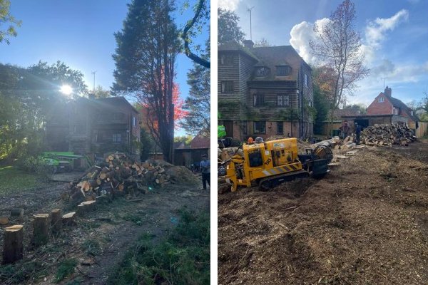 tree surgeons near me, local tree surgeons