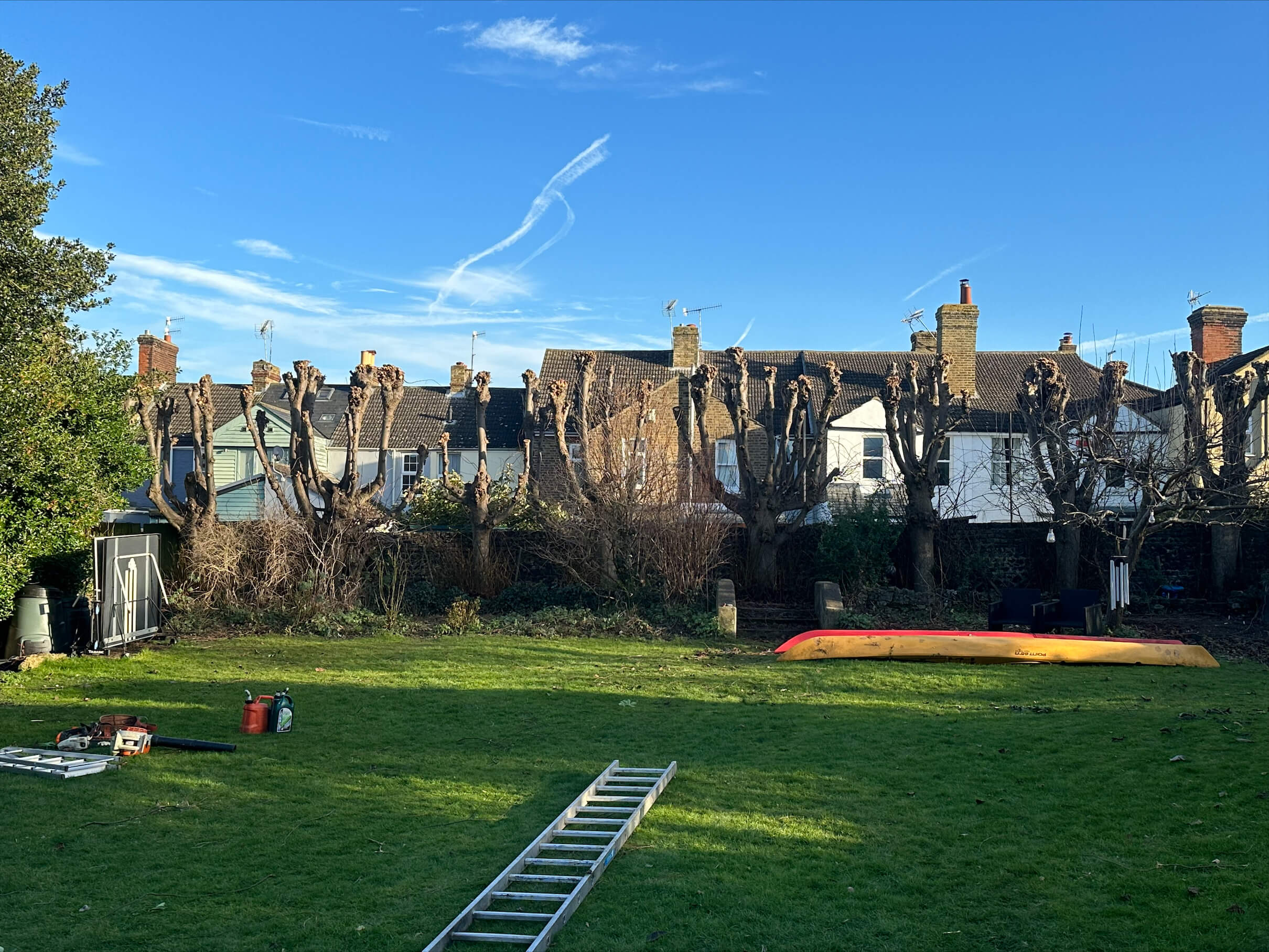 tree surgeons near me, local tree surgeons