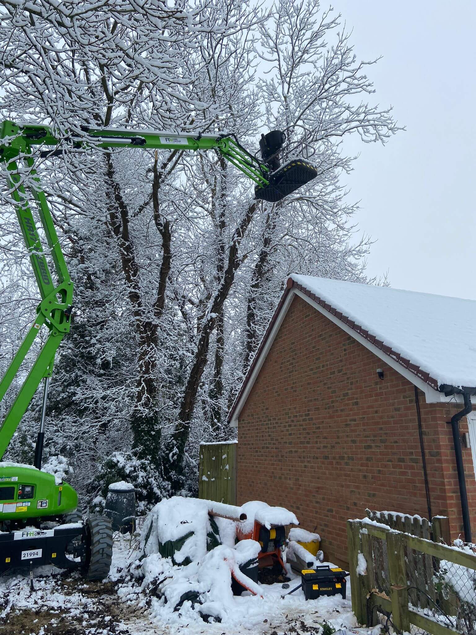 tree surgeons near me, local tree surgeons